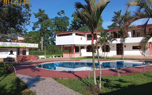 Quinta – Santo Domingo